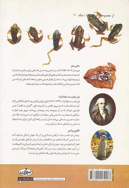 تاریخچه نظریه تکامل